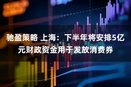 驰盈策略 上海：下半年将安排5亿元财政资金用于发放消费券