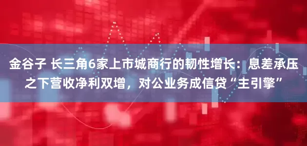 金谷子 长三角6家上市城商行的韧性增长：息差承压之下营收净利双增，对公业务成信贷“主引擎”